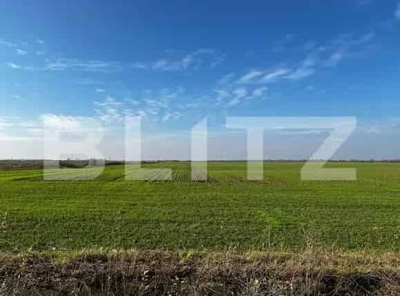 Teren Intravilan 1851mp 2 Fronturi Rudicica Timisoara