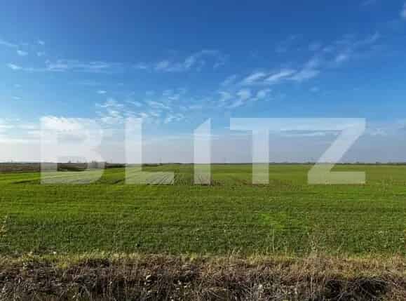 Teren Intravilan 1851mp 2 Fronturi Rudicica Timisoara
