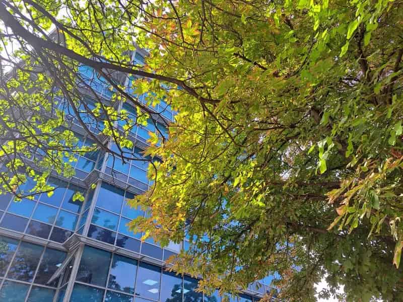 Cladire Birouri Investitie Aviatiei Bucuresti
