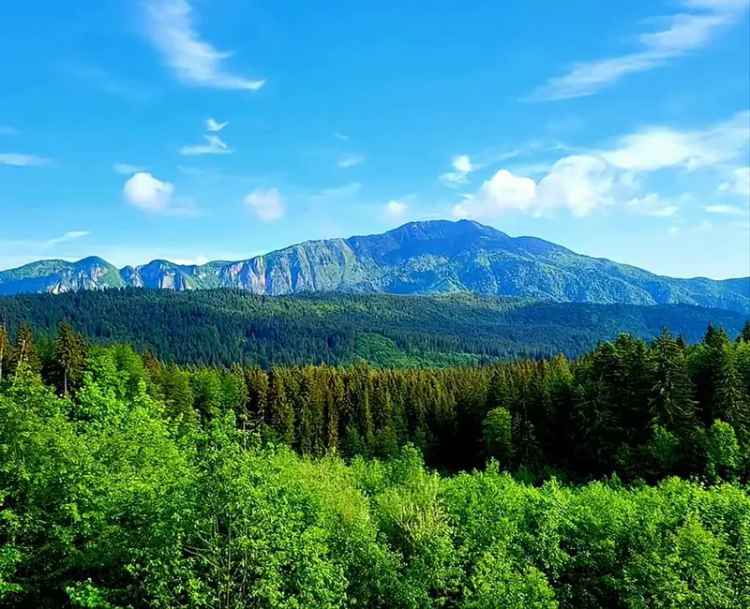 Aparthotel cu view superb Valea Prahovei