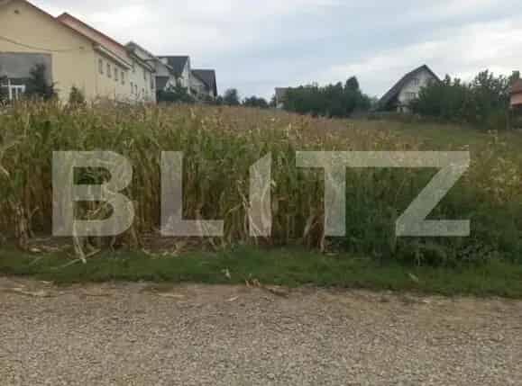 Teren Intravilan 2000 mp Ipotesti