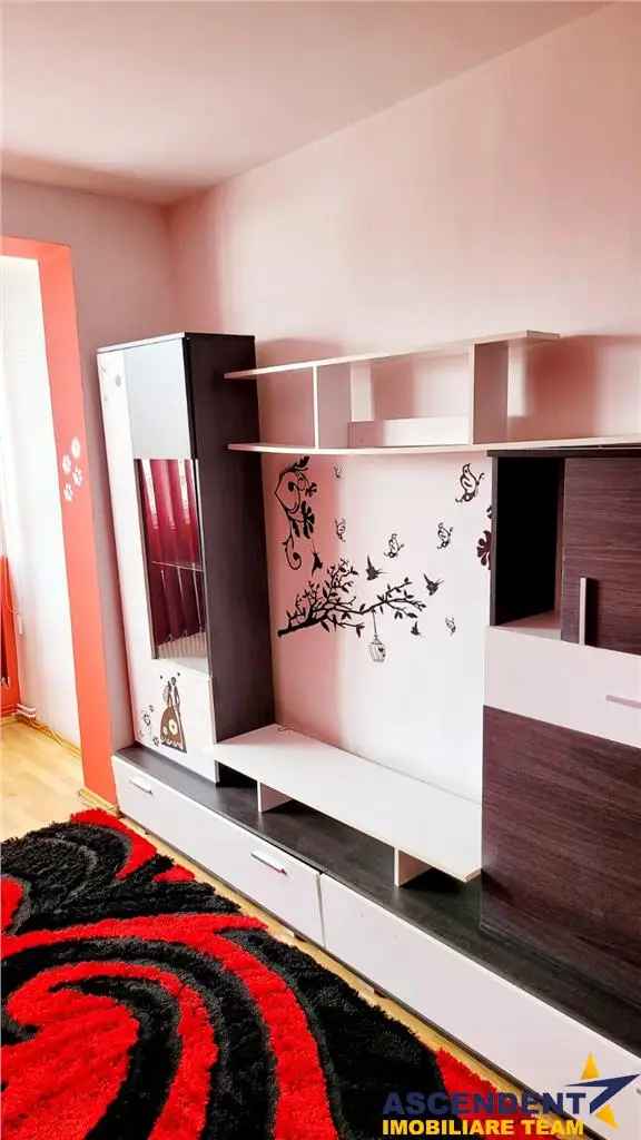 Inchiriere apartamente 3 camere pet friendly in cartierul Florilor