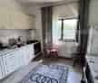 Casa plan parter, 800 mp teren, Tomesti