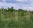 Teren Intravilan Izvoare Bacau 6716mp