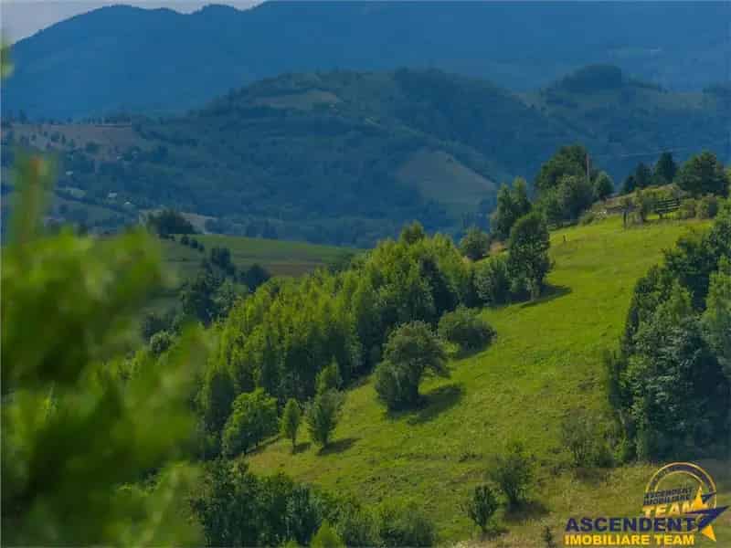 Domeniu de exceptie Zarnesti Poiana Marului - 2 Unitati Cazare