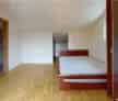 Vila spatioasa Sacele Ultracentral 850mp Gradina
