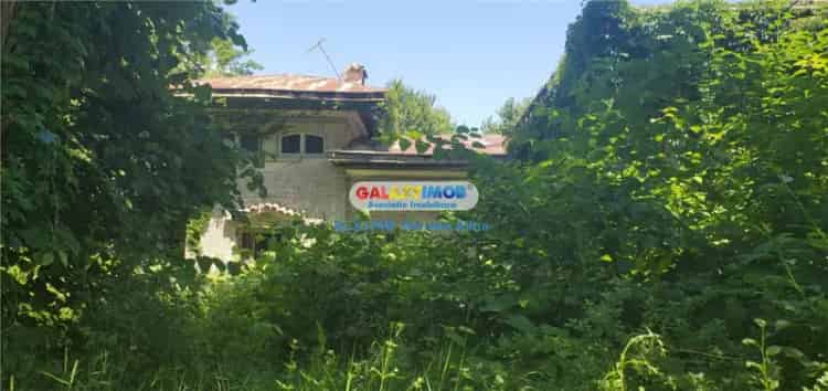 Teren Intravilan Birloi Arges 12765 mp Livada Constructii