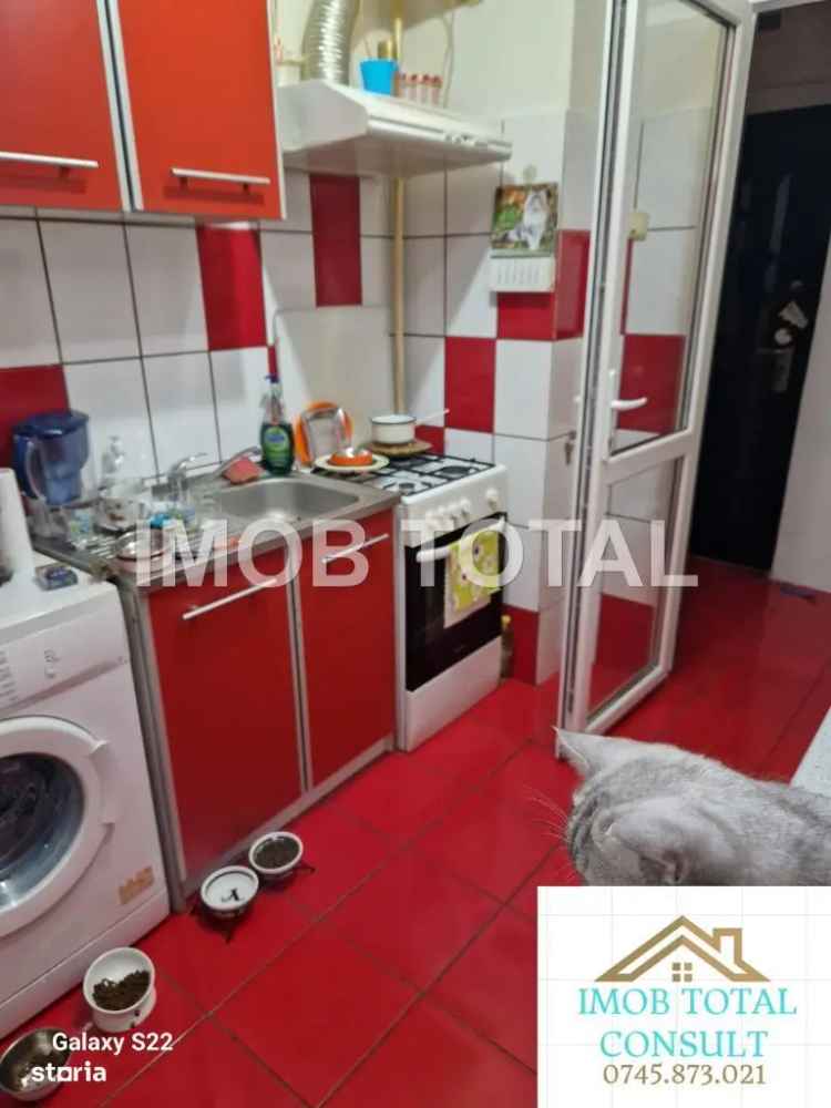 Vanzare apartament 2 camere Calea Bucuresti mobilat si utilat