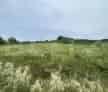 Teren Intravilan 1800 mp Sarmas