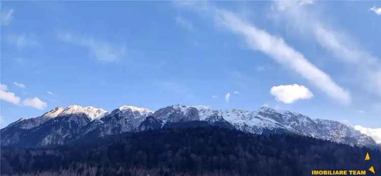 FILM! Terenul care iti dezvaluie privelisti mirifice catre Piatra Craiului, in Plaiul Foii