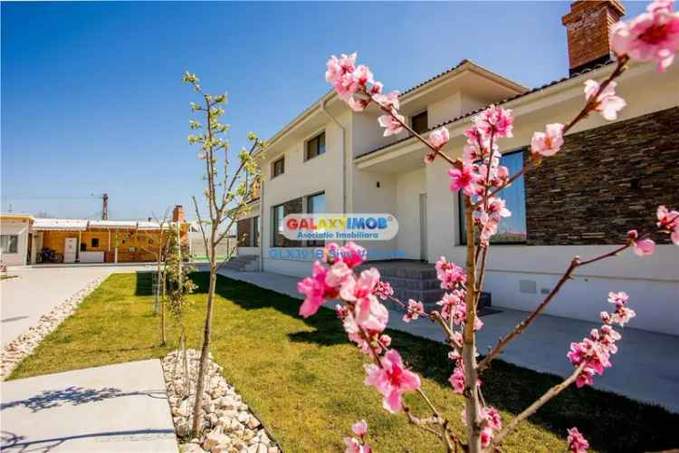 Vila Premium 6 camere Pantelimon