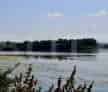 Insula Calinovat 12 hectare Dunare Turism Ecologic Agroturism
