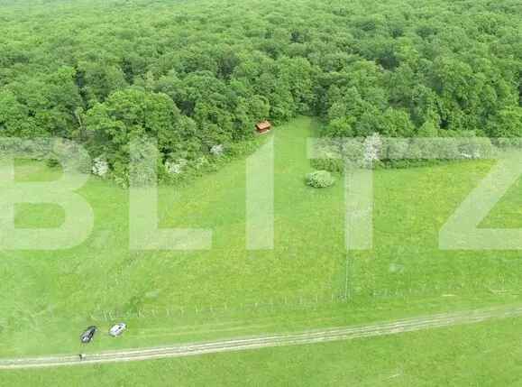 Teren de 5000 mp in Cisnadie, la doar 5 minute de Sibiu