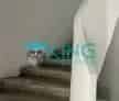 Casa 420mp | S+P+E+M | Soseaua Iancului