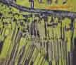 Teren Industrial 20588 mp Targu Neamt Lang Autostrada A8