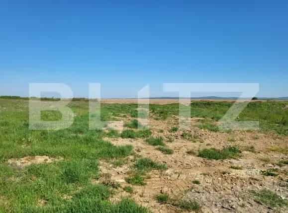 Pamant Intravilan Rontau 5972 MP Constructii Parcelari
