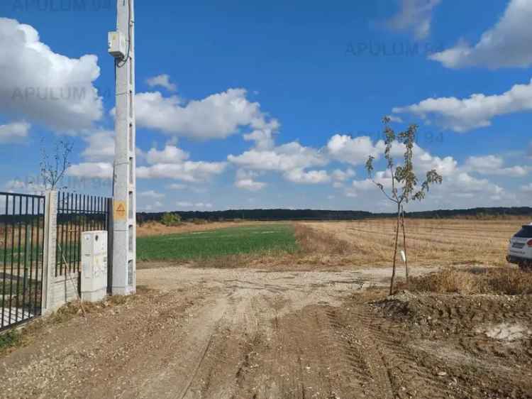 Vanzare teren intravilan curti-constructii in Gulia, 523 mp