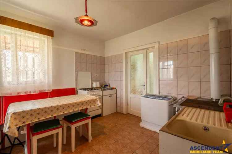 Vânzare casa 3 camere cu curte mare 3117 mp în Viperesti Buzau