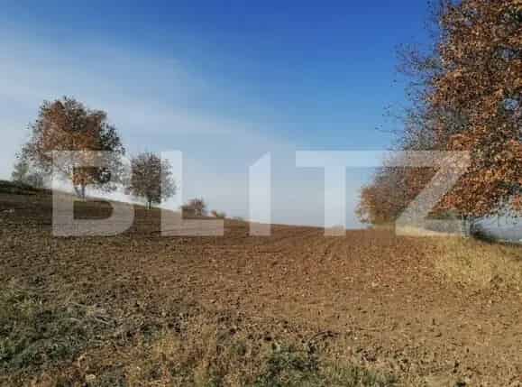 Teren extravilan 5000 mp Uricani - Parcelare