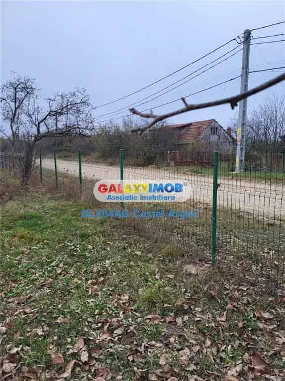 Teren Intravilan 4770 mp cu Casa in Lintesti Arges