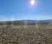 Teren extravilan 17000 mp Almasu Mic langa Hunedoara