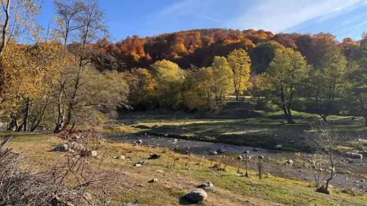 De vanzare terenuri in Salatrucu, 7500 mp, acces direct si potential turistic