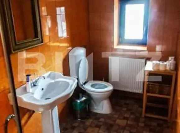 Chalet deosebit în orașul regal, Sinaia! 340 mp utili, 1380 mp teren