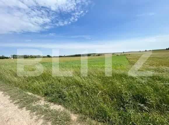 Teren 8000 mp Mitocu Dragomirnei - langa Manastire