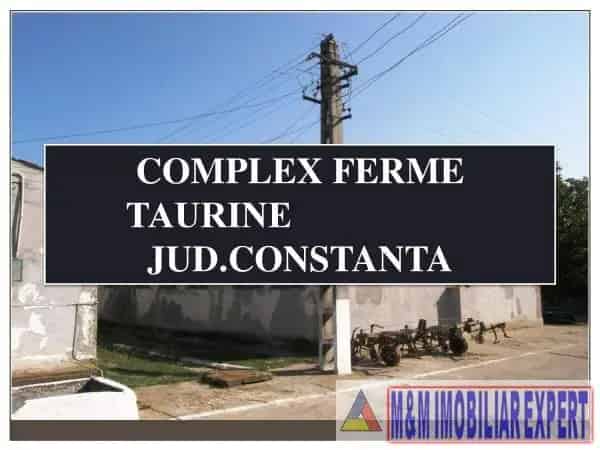 Complex Economic 496 ha Constanta - Dezvoltari Industriale