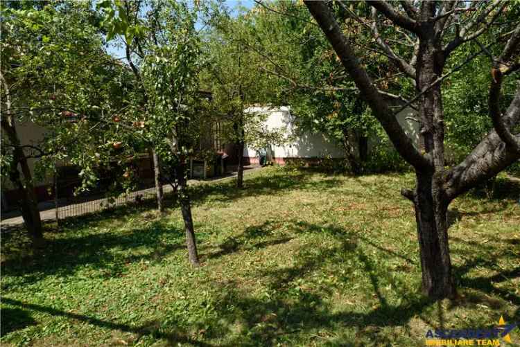 Casa individuala in centrul Brasovului, cu gradina, garaj si 950 mp teren