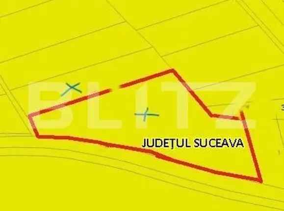 Oportunitate! Teren intravilan, 7000mp, zona Bosanci