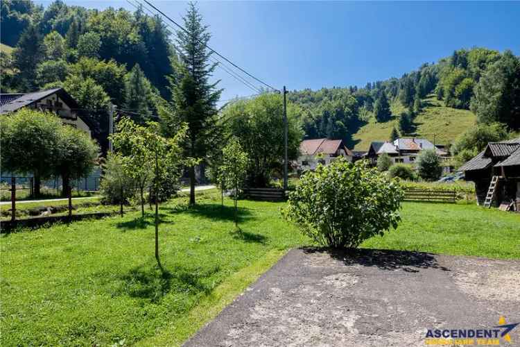 Teren generos de 8500 mp cu casa de locuit si potential de extindere in Dambovicioara, Arges