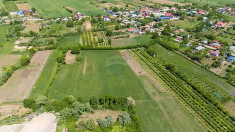Teren 10000 mp Negresti Strada Noua Casa Familie Resedinta Vacanta