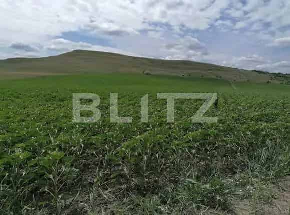 Teren extravilan 10000mp Dumesti Banu
