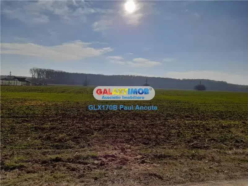 Teren Snagov Ciofliceni 10000 mp Padure Utilitati