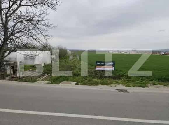 Teren 8600 mp Podgoria Osorhei - Investitie Imobiliara