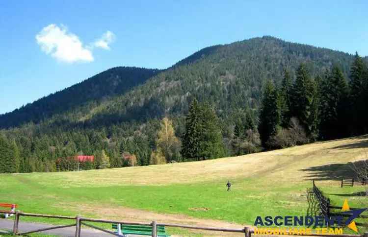 Film!!Punct de inatlnire cu natura! Poiana Brasov  Rasnov,350.000mp,destinatie turistica si agrement