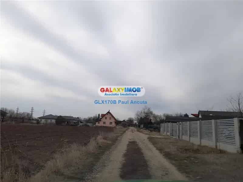 Teren 1500 mp Caciulati Moara Vlasiei Strada Garoafelor