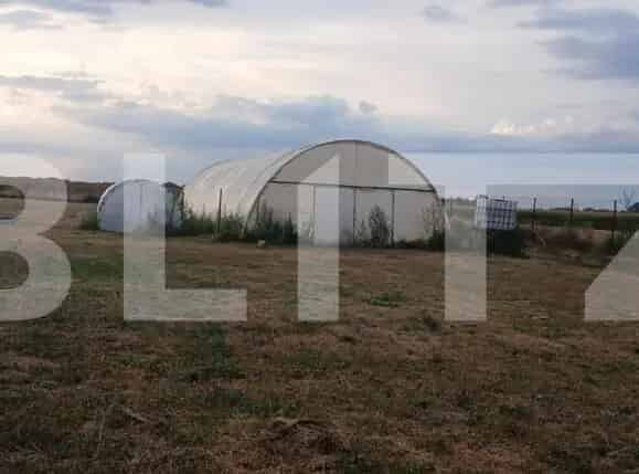 Teren Intravilan 6000mp Tarian Investitie