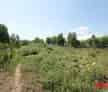 Teren Intravilan 7500mp Zona Auchan - Ideal Constructii