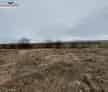 Teren Intravilan 6300 mp cu Hala 348 mp Tulcea