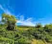 Teren Intravilan Bascov 2144mp
