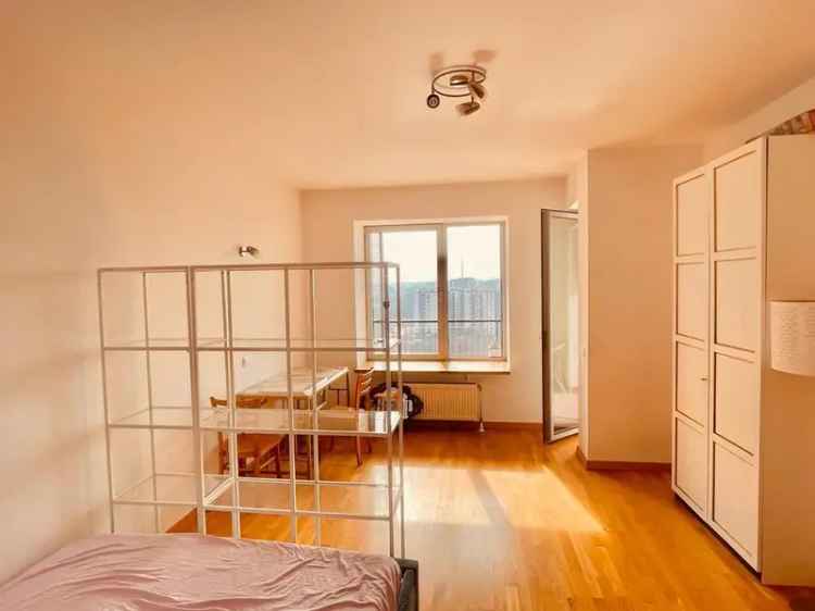 SUPEROFERTA  APARTAMENT CU VEDERE LA DELTA VACARESTI