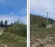 Teren Padure 2000 mp Com Filipeni Vanzare