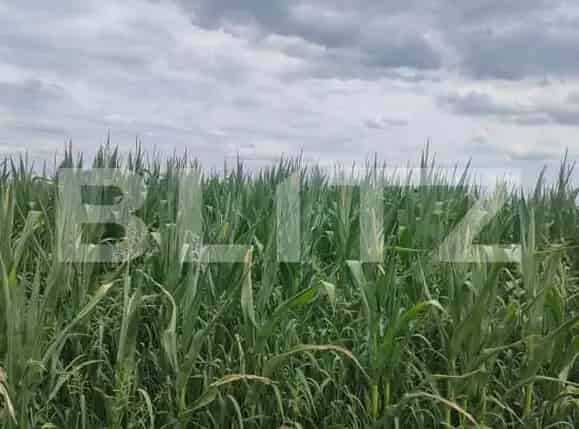 Teren extravilan 5800 mp Horodnicu de Sus Zona Redi