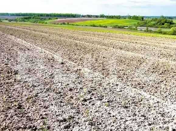 teren de vanzare livada de bihor 5800 mp