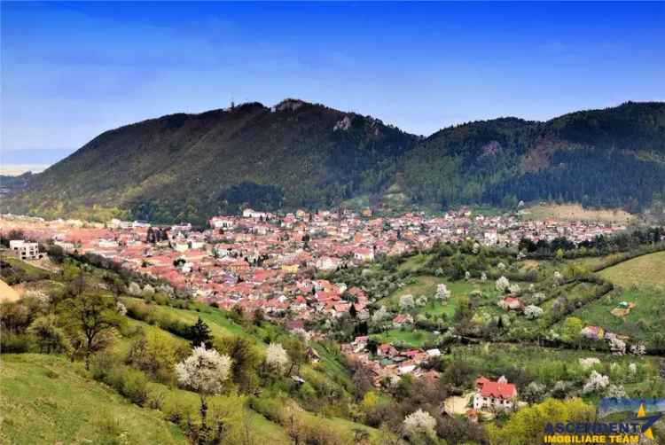 Schei, Brasov