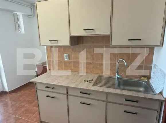 Închiriere apartament, cu o cameră, 58 mp, etaj 2, zona Terezian