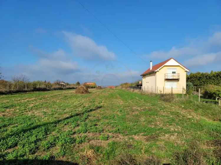 De Vânzare 2 Parcele Viile Satu Mare