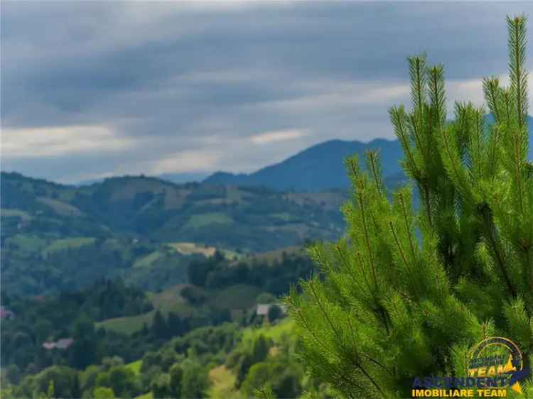 Cabana cu vedere la Piatra Craiului ZarnestiPoiana  Marului